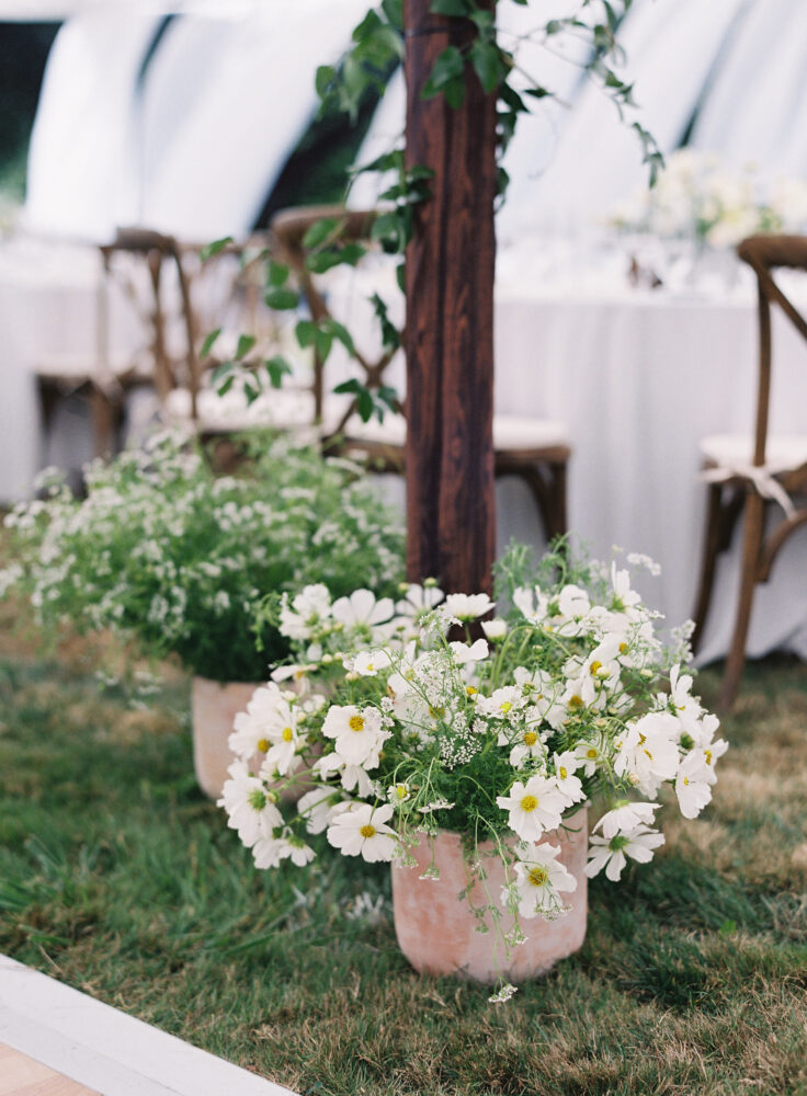 small terra cotta urns of white flowers at a wedding reception